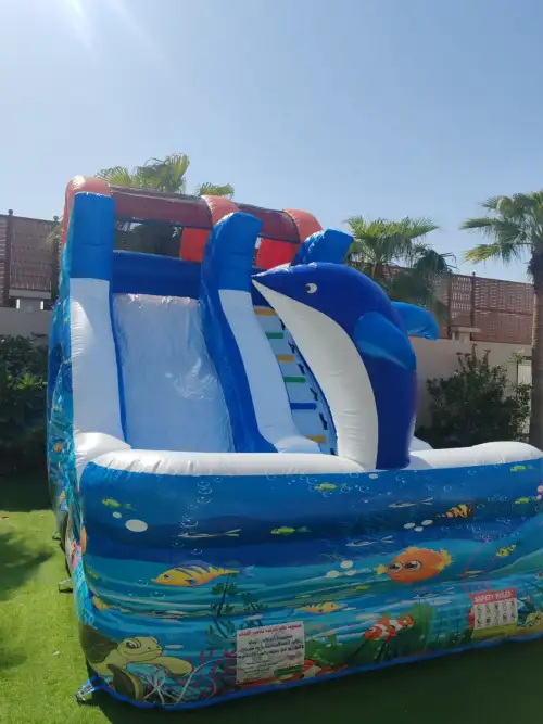 زحليقة الأسماك الجميلة - تصميم بحري جذاب للأطفال 17 - صورة 2 للإيجار | استأجر