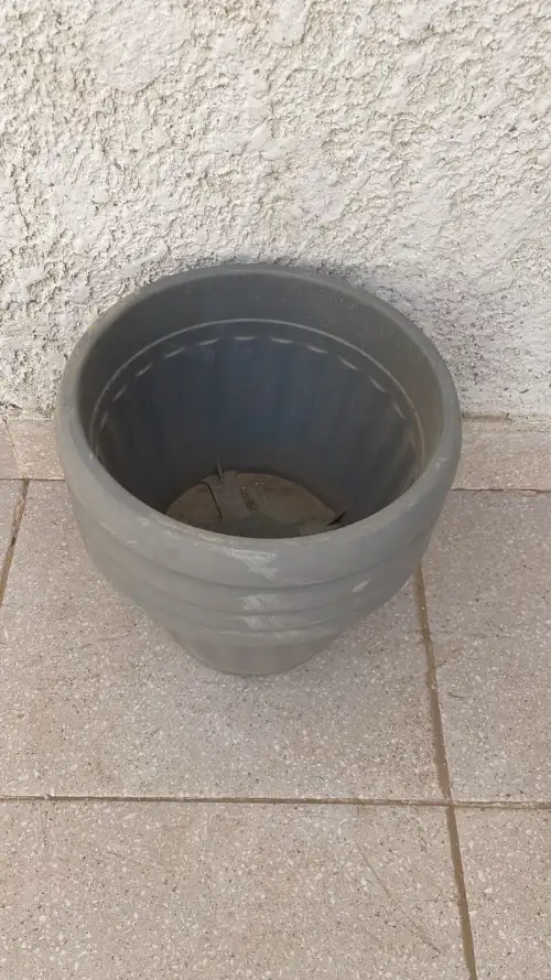 أحواض زراعة بلاستيك – ديكور سينمائي - Image 2 for rent | Estajer