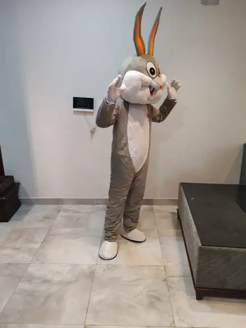 Cartoon Character: Funny Bunny – Perfect for Kids 121  - Image 3 for rent | Estajer