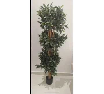 نبات زينة اصطناعي – ديكور سينمائي للإيجار | استأجر