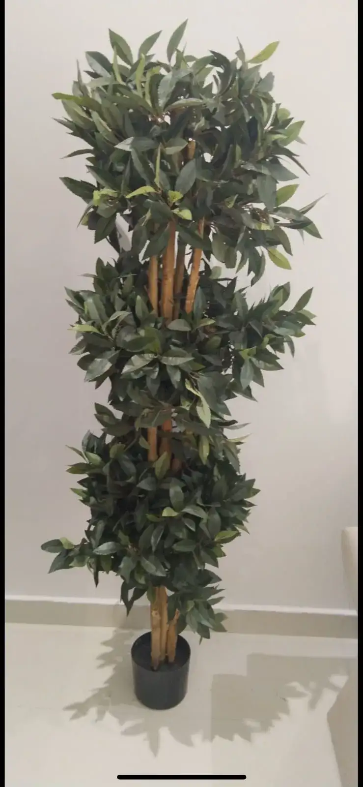 نبات زينة اصطناعي – ديكور سينمائي - الصورة الرئيسية للإيجار | استأجر