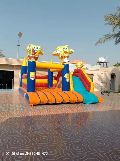 SpongeBob - Image 3 for rent | Estajer