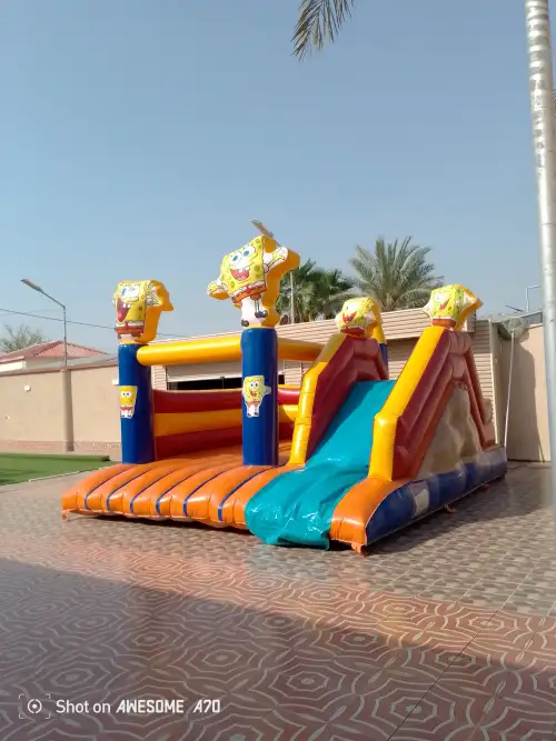 SpongeBob - Image 2 for rent | Estajer