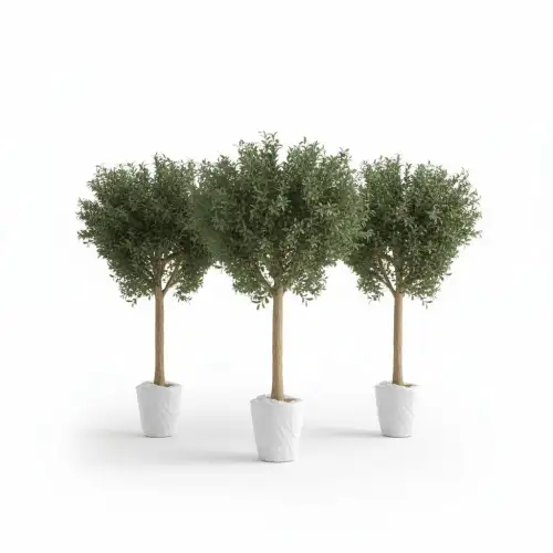 شجرة زيتون صناعية كبيرة - صورة 2 للإيجار | استأجر