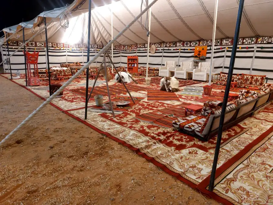 Traditional  Tent 8×16m – Black or White Bedouin Style - Main image for rent | Estajer