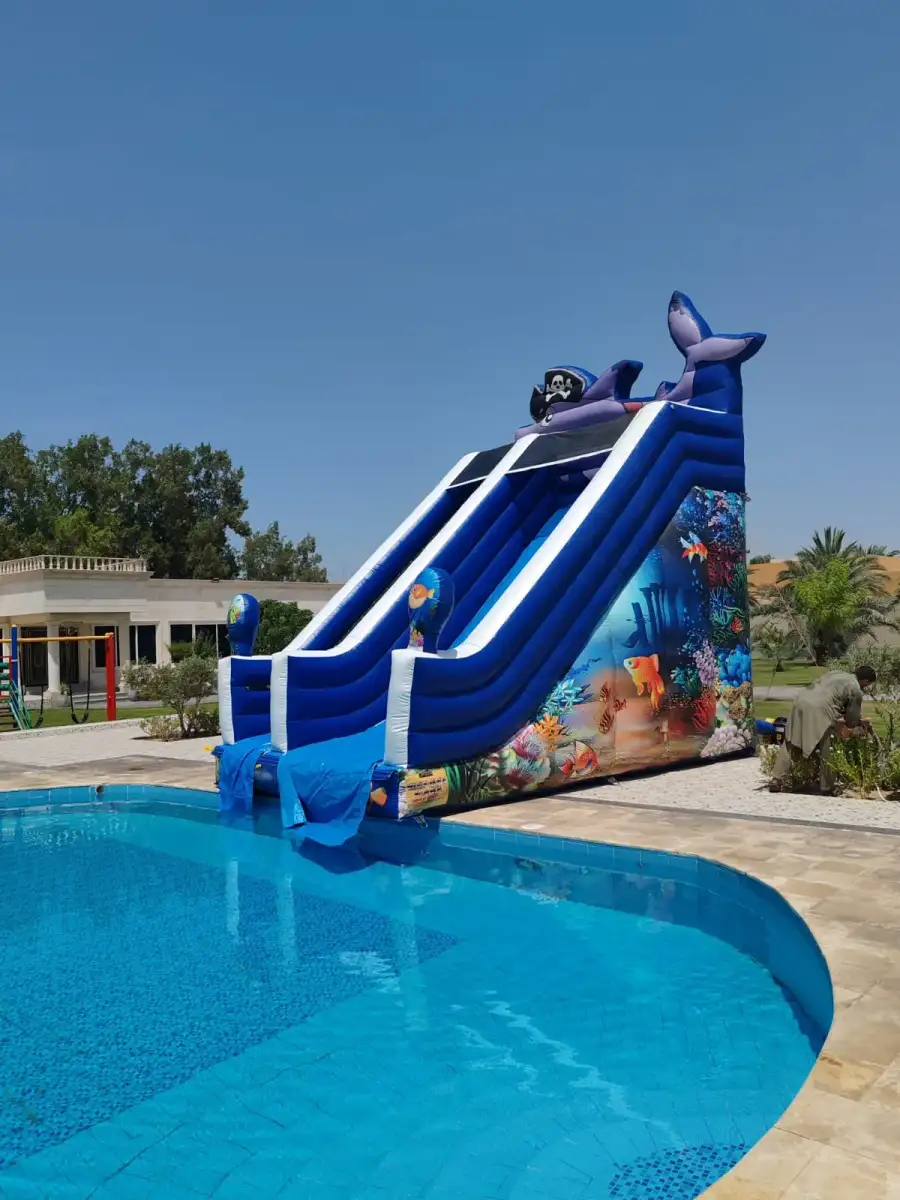 Fish Slide with Pool – Marine Designs and Refreshing Water 32 - Main image for rent | Estajer
