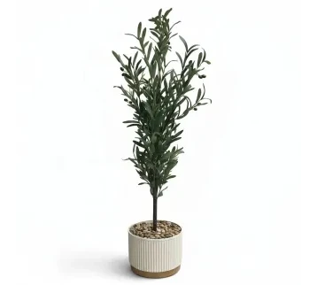 شجرة زيتون صناعية ديكورية صغيره  للإيجار | استأجر