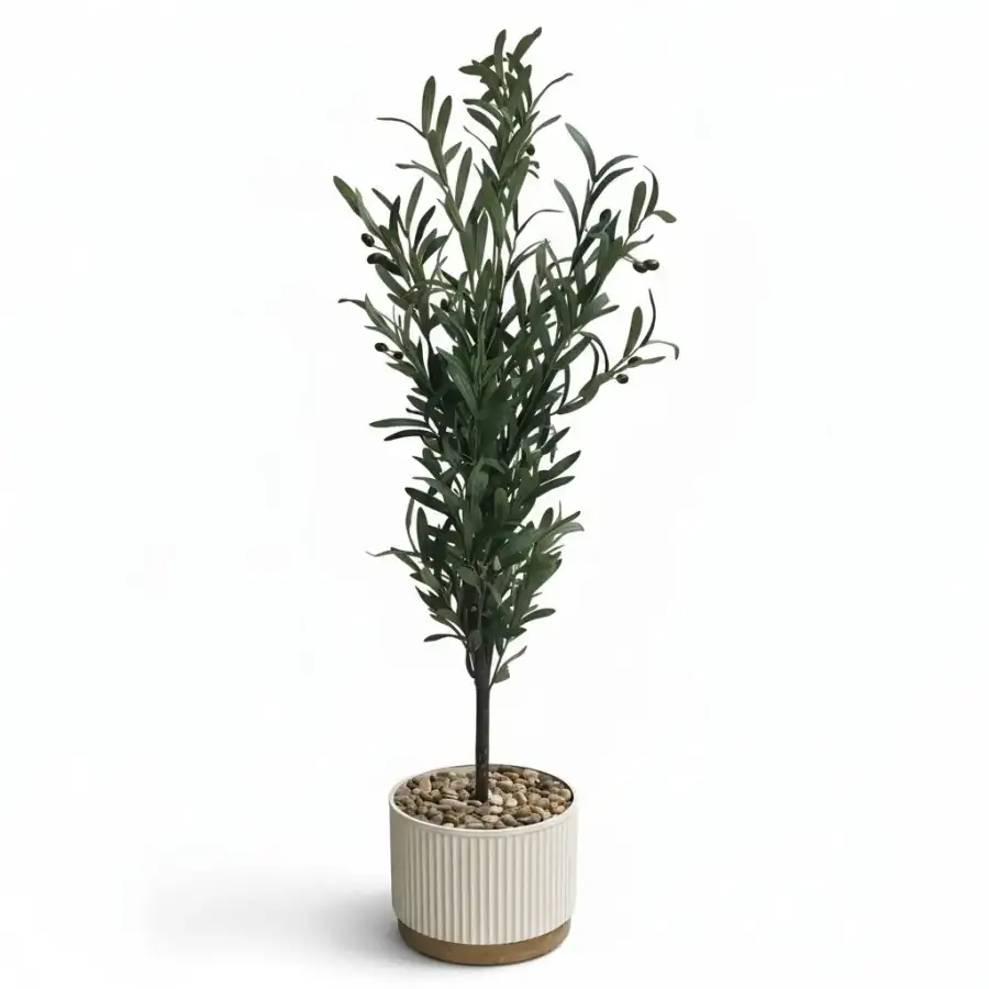 شجرة زيتون صناعية ديكورية صغيره  - الصورة الرئيسية للإيجار | استأجر